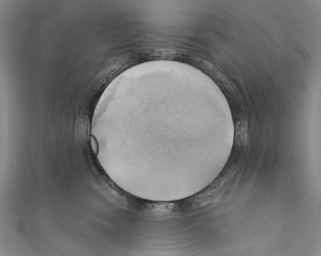 X0000110680474200907101131