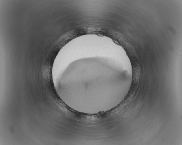 X0000110680475200907101131
