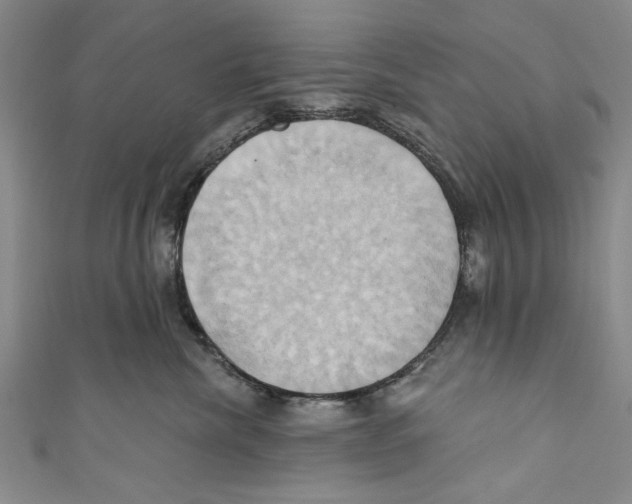 X0000110680476200907101131