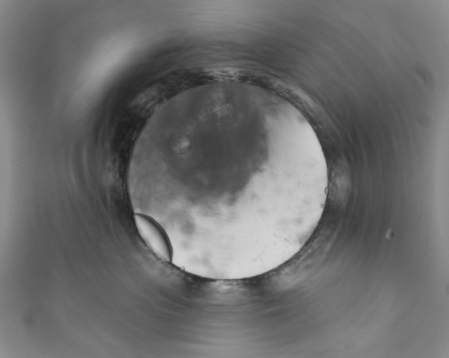 X0000110680477200907101131