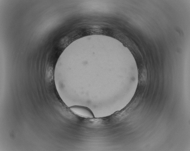 X0000110680478200907101131
