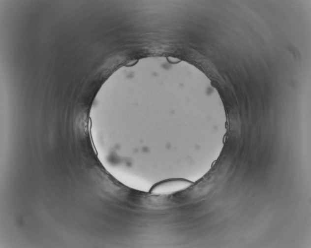 X0000110680479200907101131
