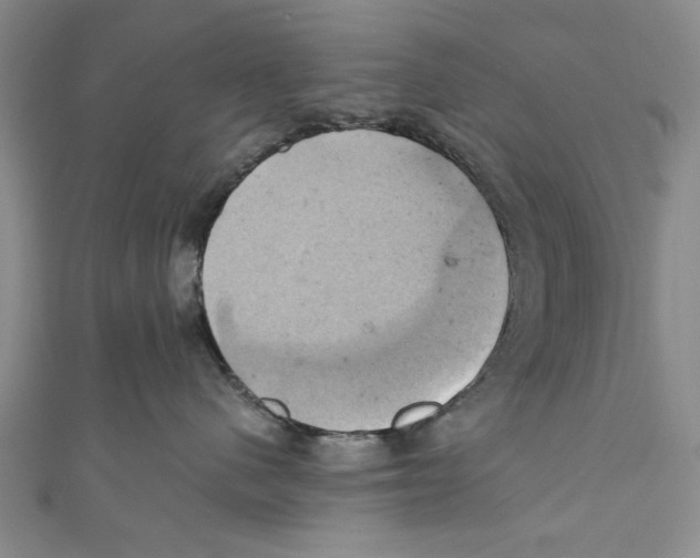 X0000110680480200907101131
