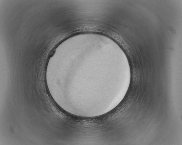 X0000110680481200907101131