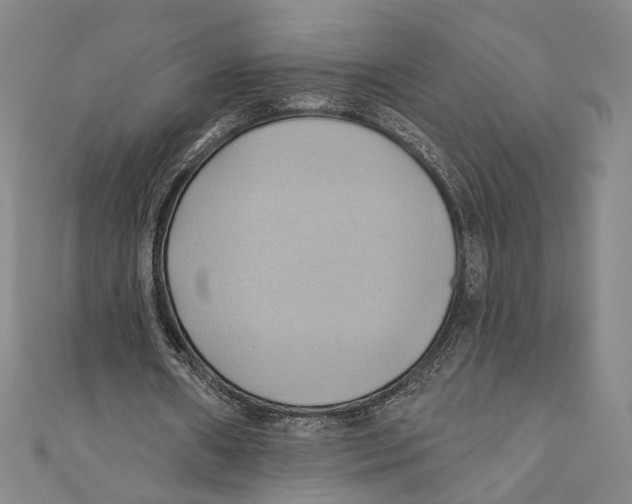 X0000110680482200907101131
