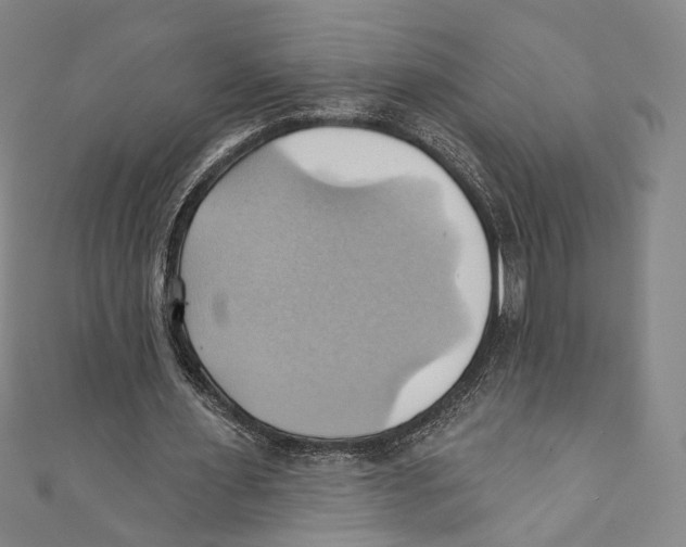 X0000110680483200907101131