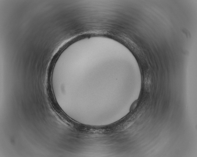 X0000110680484200907101131