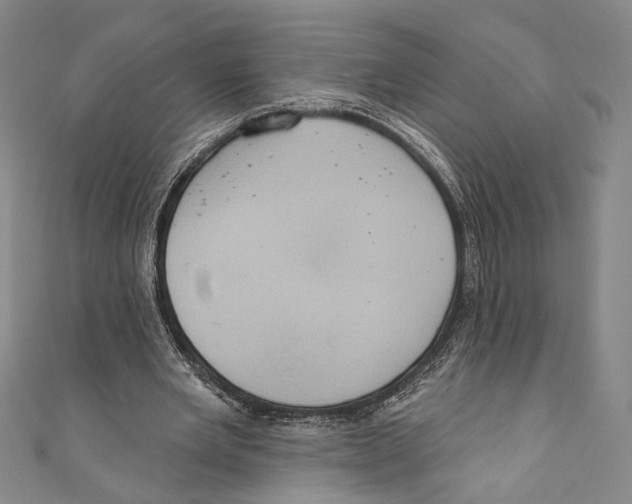 X0000110680485200907101131