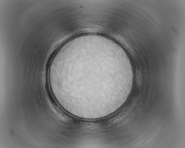 X0000110680486200907101130