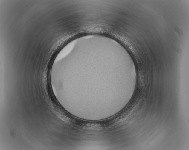 X0000110680487200907101130
