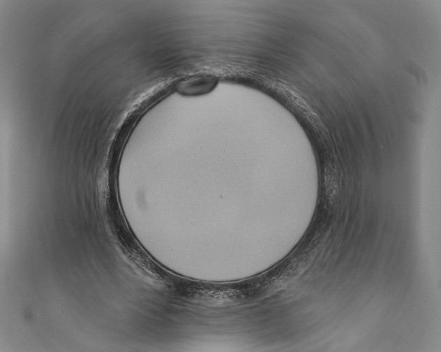 X0000110680488200907101130
