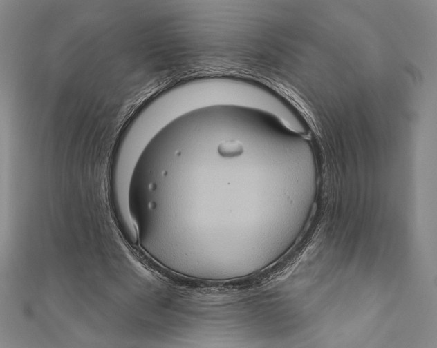 X0000110680489200907101130