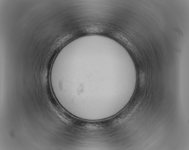 X0000110680490200907101130