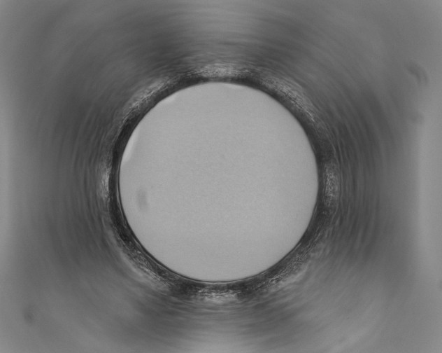 X0000110680491200907101130