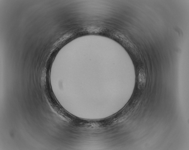 X0000110680492200907101130