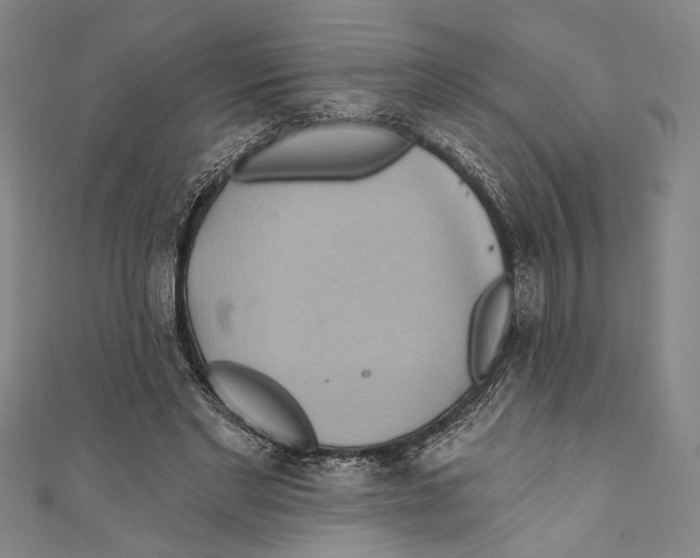 X0000110680493200907101130