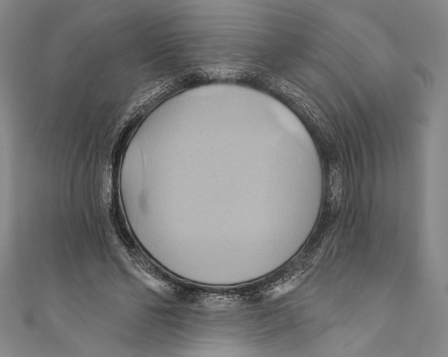 X0000110680494200907101130
