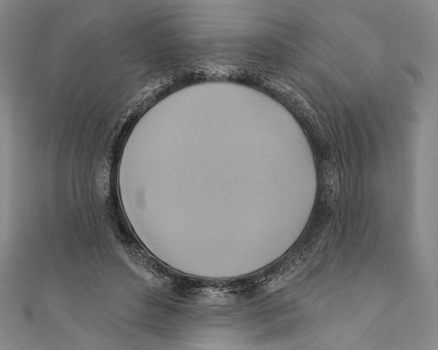 X0000110680496200907101130