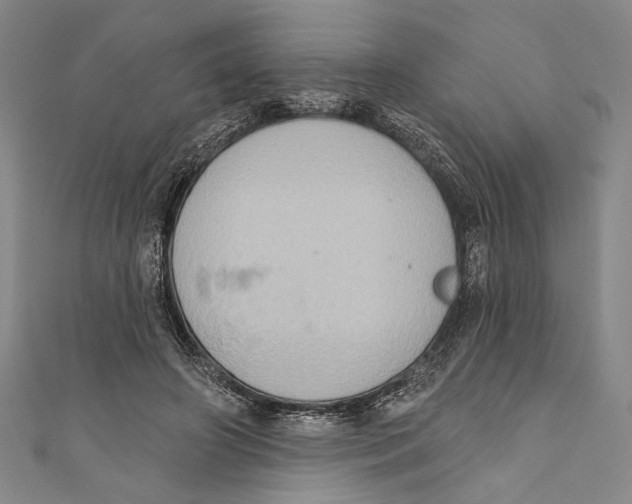 X0000110680498200907101130