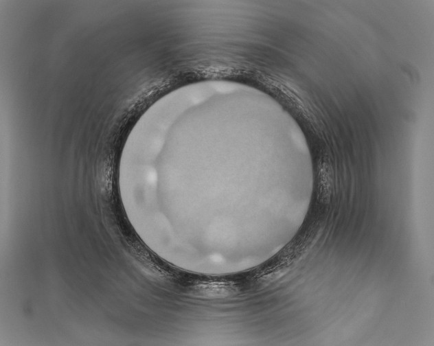 X0000110680499200907101130
