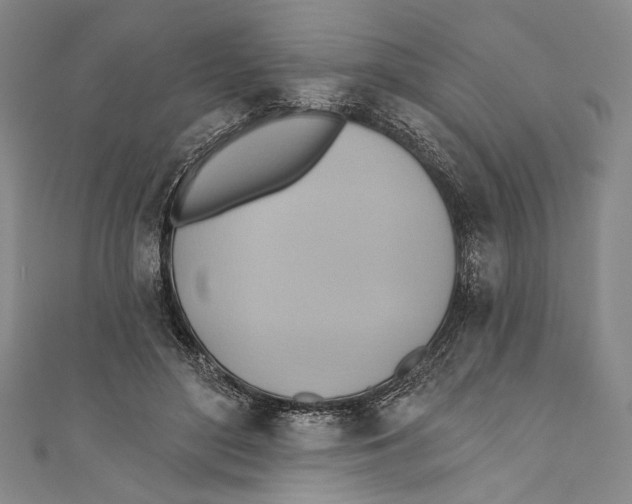 X0000110680500200907101130