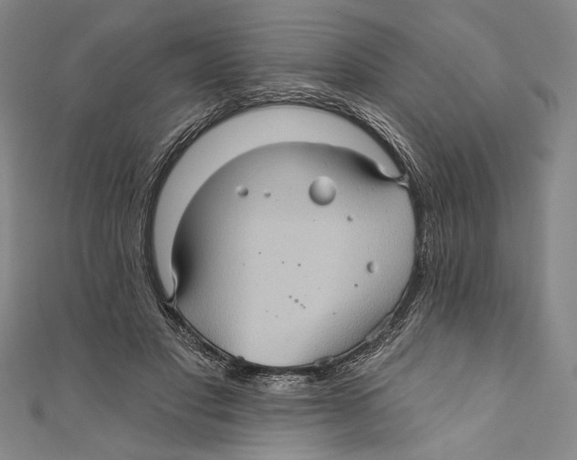 X0000110680501200907101130