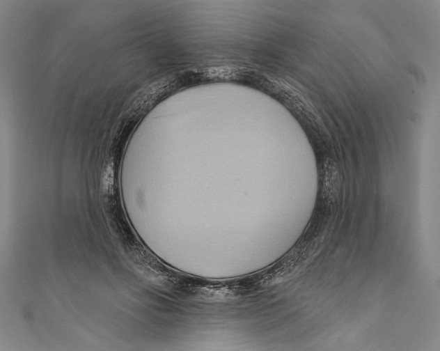 X0000110680502200907101130