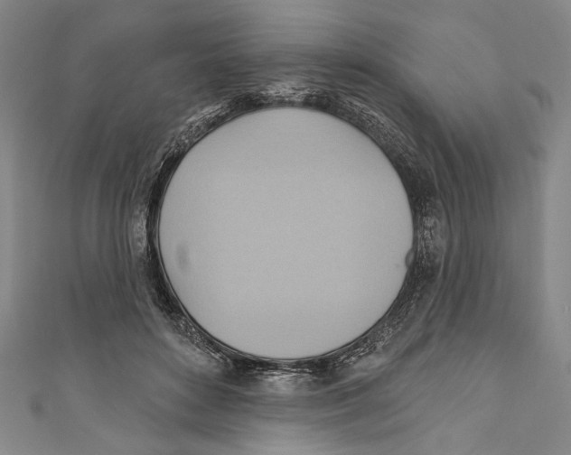 X0000110680504200907101130