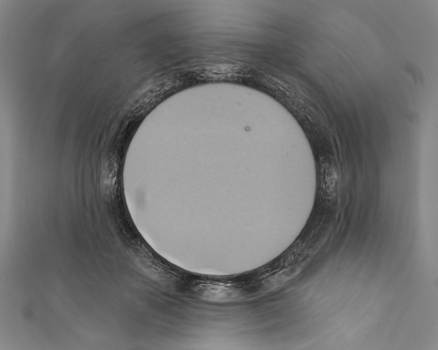 X0000110680507200907101130