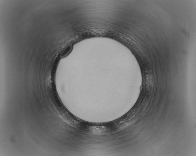 X0000110680508200907101130