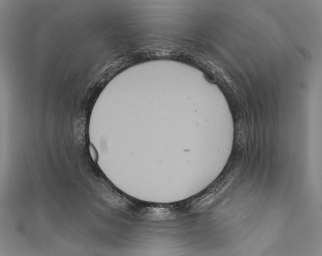 X0000110680509200907101130