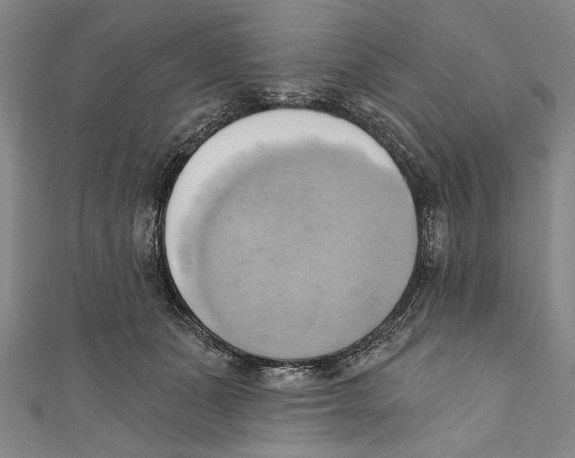 X0000110680511200907101130