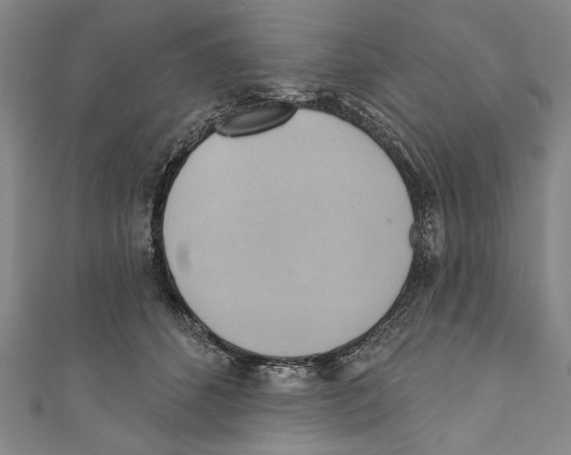 X0000110680512200907101130
