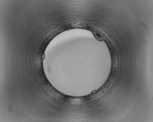 X0000110680513200907101130