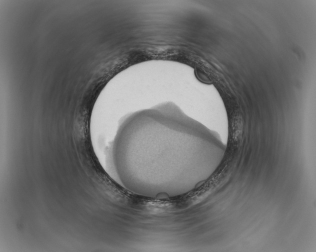 X0000110680515200907101130