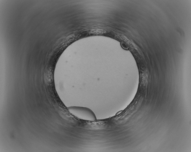 X0000110680517200907101130