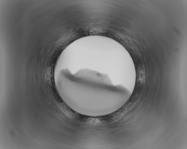 X0000110680519200907101130