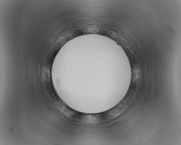 X0000110680522200907101130