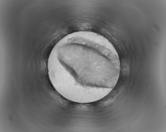 X0000110680523200907101130