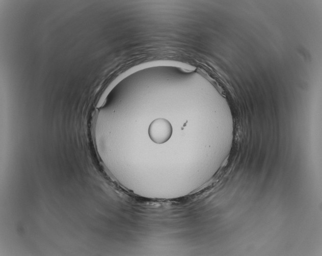 X0000110680524200907101130