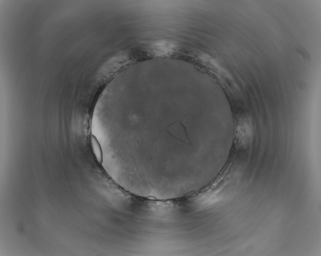 X0000110680525200907101130