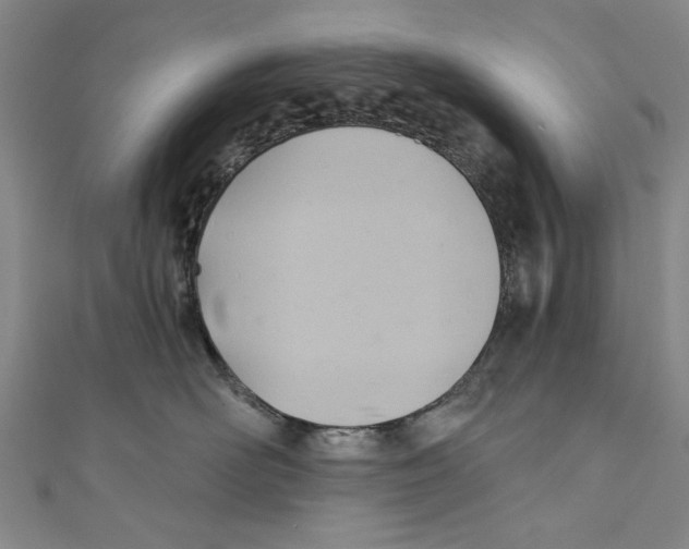 X0000110680526200907101130