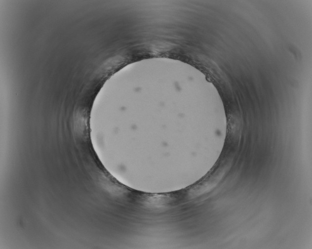 X0000110680527200907101130