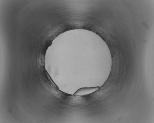 X0000110680528200907101130