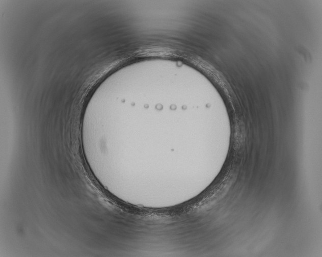 X0000110680529200907101129