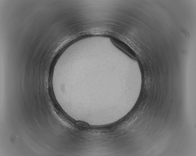 X0000110680530200907101129
