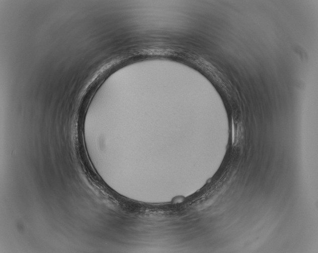 X0000110680531200907101129