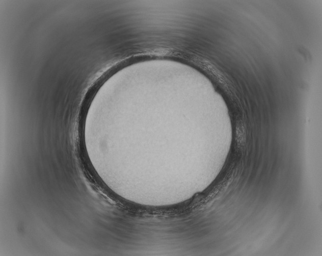 X0000110680532200907101129