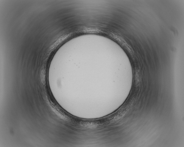 X0000110680533200907101129