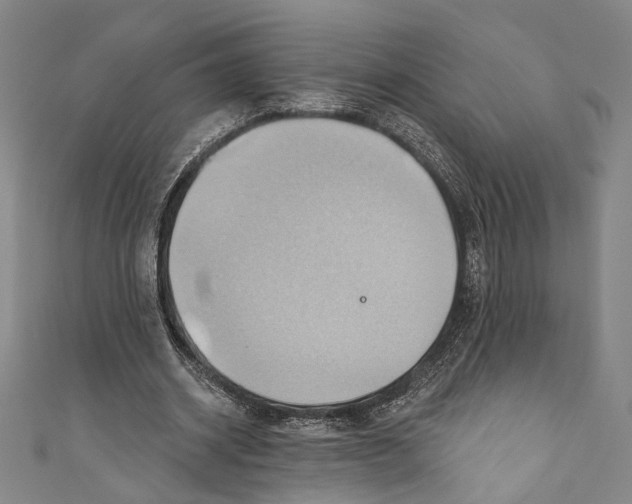 X0000110680534200907101129